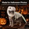 Szkielet Dinozaura Świecący w Ciemności Kostium dla Zwierzęcia Domowego Lśniący Kostium Halloweenowy dla Zwierzęcia Domowego Impreza Halloweenowa