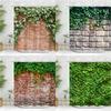 Brick Wall Shower Curtain Vintage Vines Spring Greenery Nature Scenery Leave Farm Flower Polyester Fabric Bathroom Decor Curtain