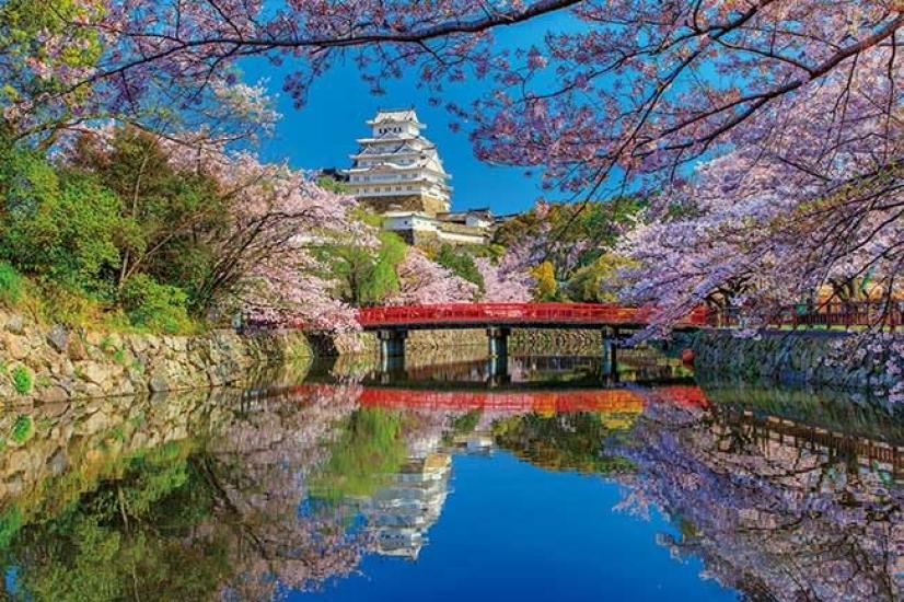 

APPLEONE 1000-833 Himeji Castle with Cherry Blossoms, 1000-Piece Jigsaw Puzzle (75 x 50 cm), Made in Japan