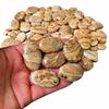 Cabochon di Diaspro Fotografico all'Ingrosso, Pietre Preziose di Forma Mista, Pietre di Diaspro Sfuse per la Realizzazione di Gioielli, Lotto Naturale di Cabochon di Diaspro Fotografico