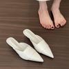 French bag head half slippers women's shoes wear 2025 new autumn skirt temperament pointed high heels single shoes