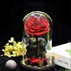 Rose That Lasts Eternal compatible withever Preserved Flower in Glass Dome Lamp compatible with Valentine's Mother's Day Gift Box