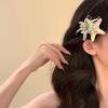 Ocean Series Hair Clip Eternal Flower Starfish Shark Clip Headwear Seaside Tourism Vacation Photography Hair Accessories