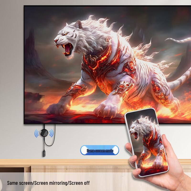 SDWS HDMI Wireless Screen Projector