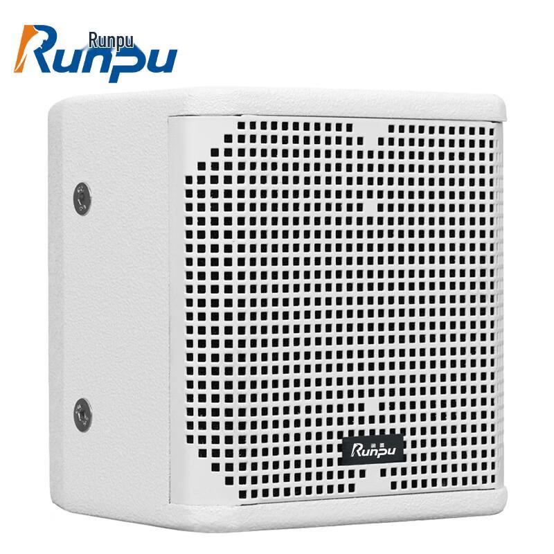 

Runpu Professional Dual 6.5-inch Coaxial Conference Speaker (CN version)