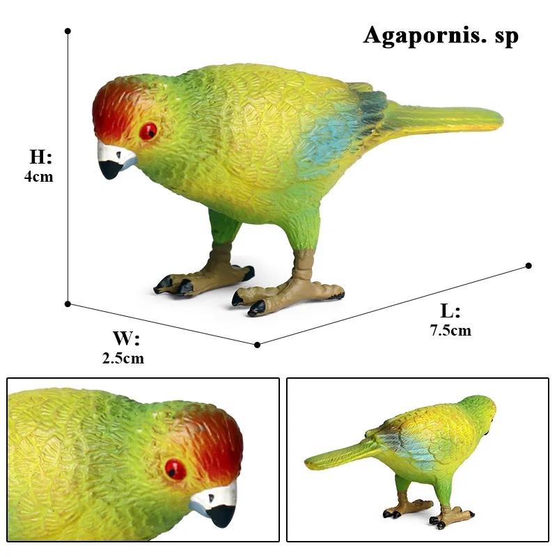 Oenux Forest Bird Animals Wild Ostrich Magpie Owl Crow Flamingos Figurines Action Figure PVC Garden Decoration Miniature Kid Toy