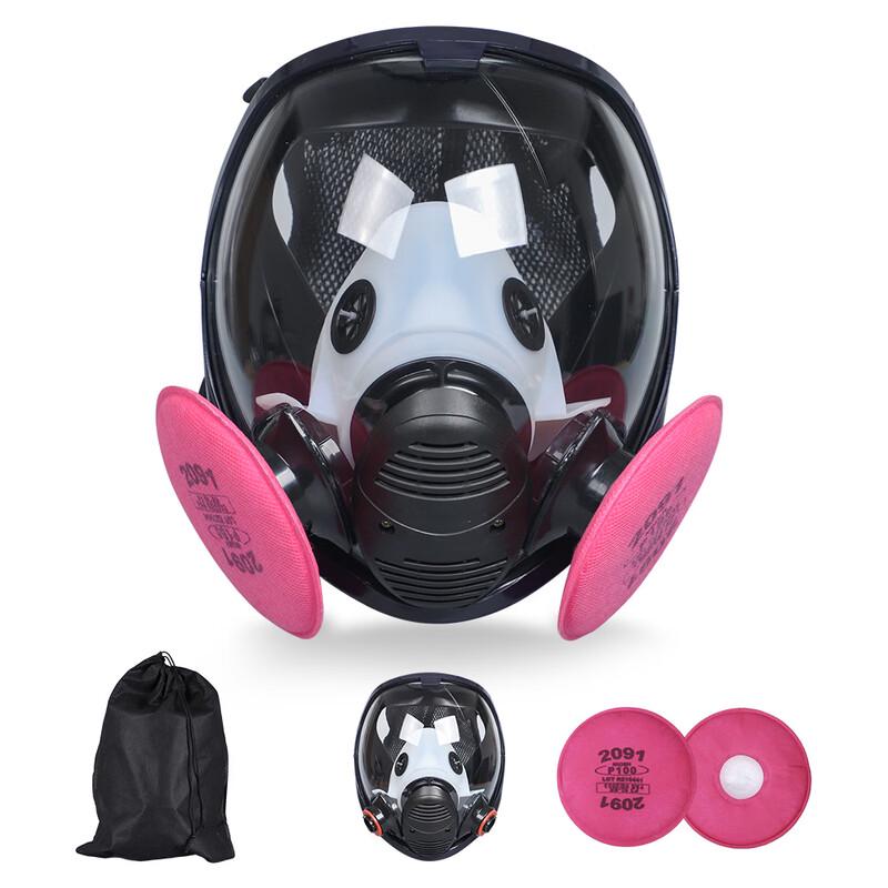 DAXTE Full-Face Respirator Mask