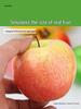 Foam Fruit Model Set: Educational Toy & Display with Plastic Apples, Bananas, Grapes for Kids