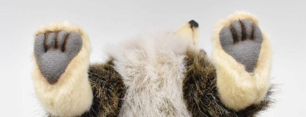 BH4248 HANSA Waschbär 25