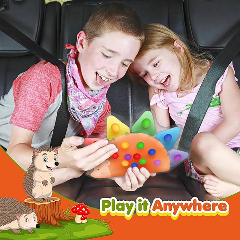 Color Sorting Sensory Toys For Toddlers 3-5 Preschool Learning Activities Travel Toy Montessori Autism Quiet Fidget Toys