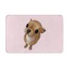 Chihuahua Dog Non-slip Doormat Floor Mat Dust-proo Carpet Rug for Kitchen Entrance Home Balcony Footpad Mats