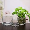 Geometric Cube Vase Transprent Candle Holder Minimalist Fish Tank  Home