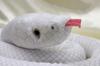 Take Off Snake (Shirohebi) Leucism Plush Toy [with Music Box]