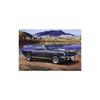 Revell 1/24 Shelby Mustang GT350H 07242 Plastikmodell