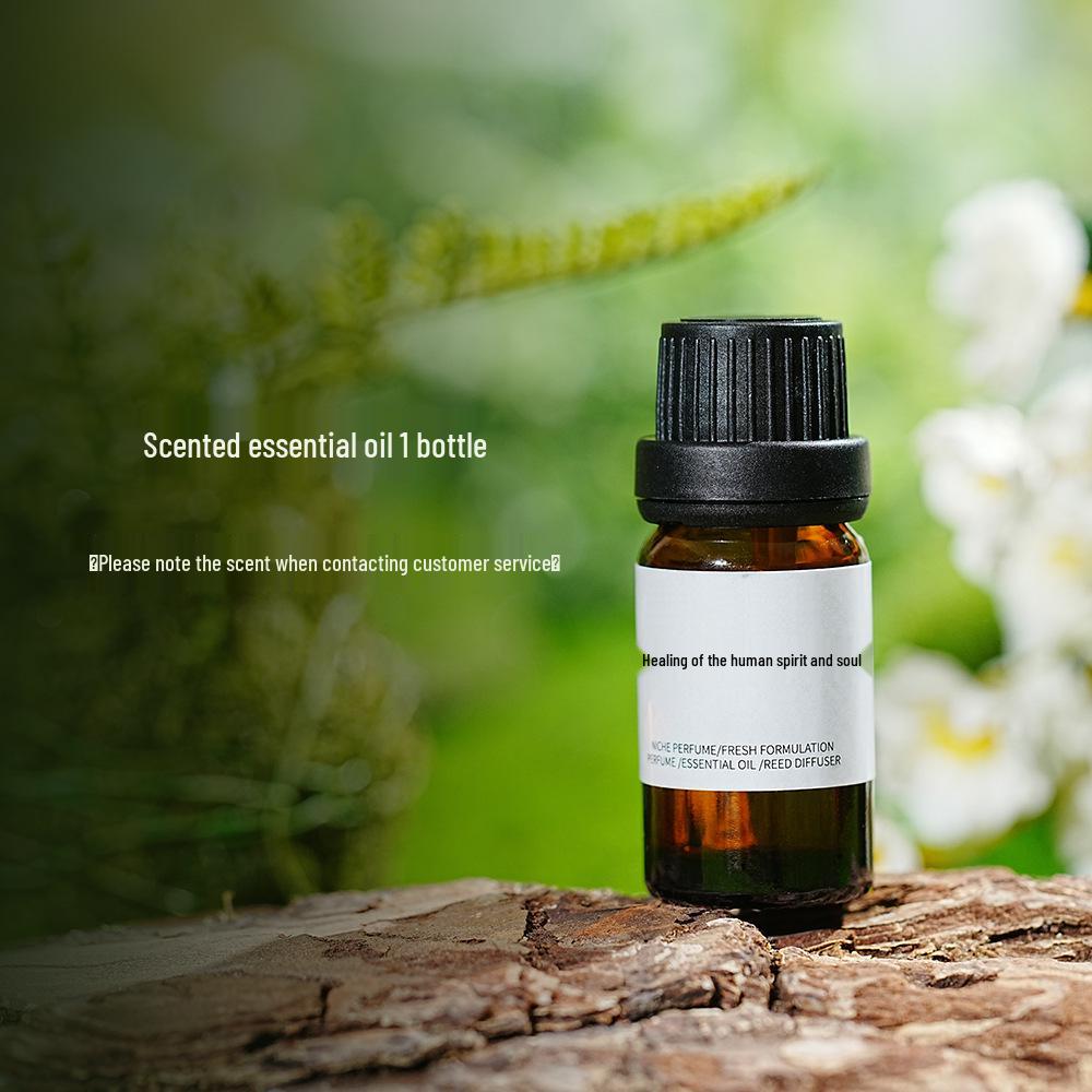 Narcissus Gypsum Aroma Diffuser: Custom Hanging Car Freshener for High-End Home, Long-Lasting Odor Removal and Scented Souvenir.