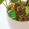 Plant Self Watering Bulb Planter Insert Automatic Watering Device Home Gardening