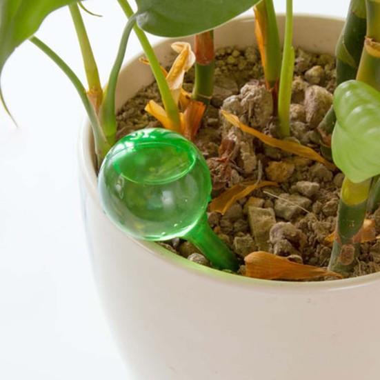 Plant Self Watering Bulb Planter Insert Automatic Watering Device Home Gardening