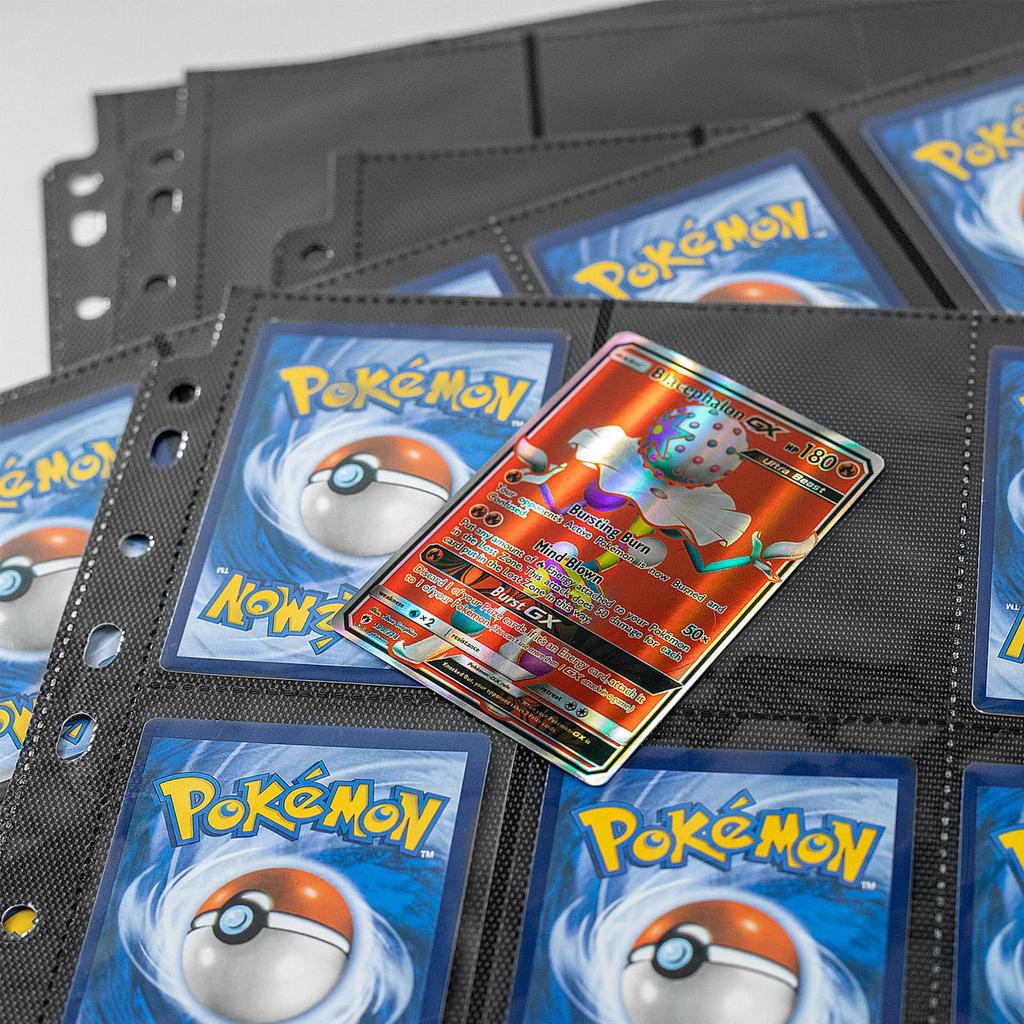 WISSUA Trading Card File Card File Compatible with 2 3 4 9 Pocket Card Collect and Other Pocket Size 18 Pockets On Both Sides 50 Holes, Holes, Holes,