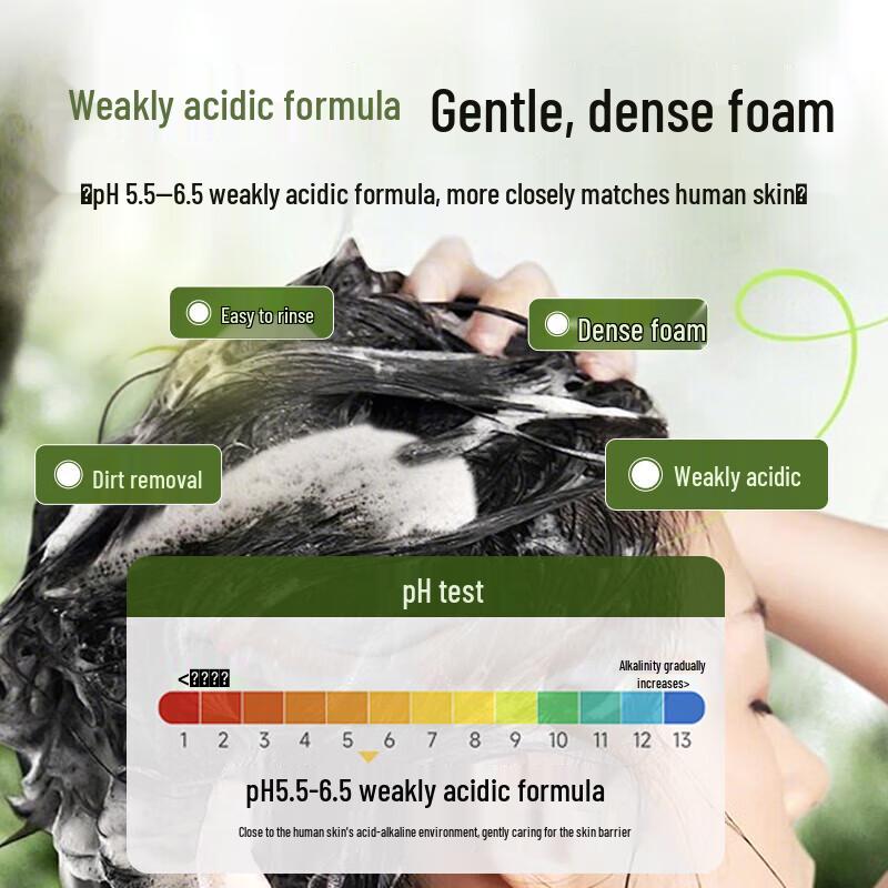 Zhuolanya Ginger Anti-Dandruff Shampoo