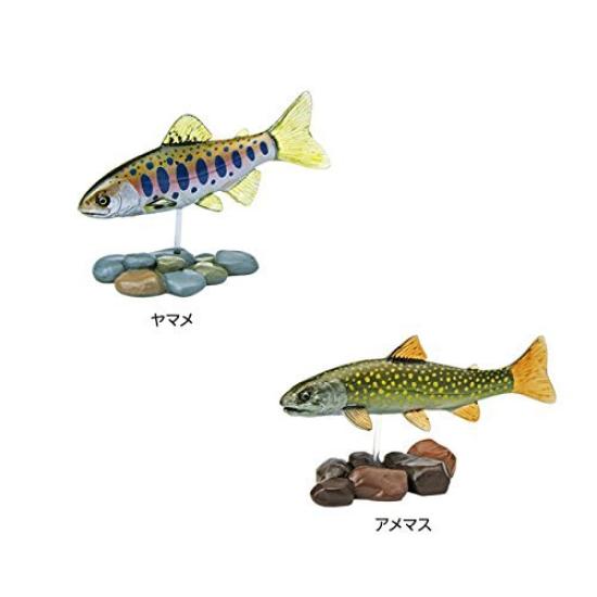 Calorata Japanese Freshwater Fish 3D Encyclopedia Species Includes Instructions and Realistic Figures Birthday Gift Sanitation Law Fish Figure Gift