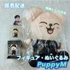 [USED] Papim Stray Kids Stadium Plush Figure Seungmin
