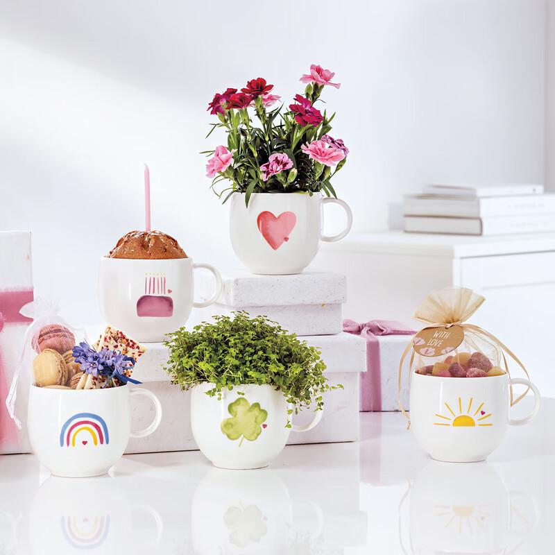Керамическая кружка Villeroy & Boch серии Love 290ml
