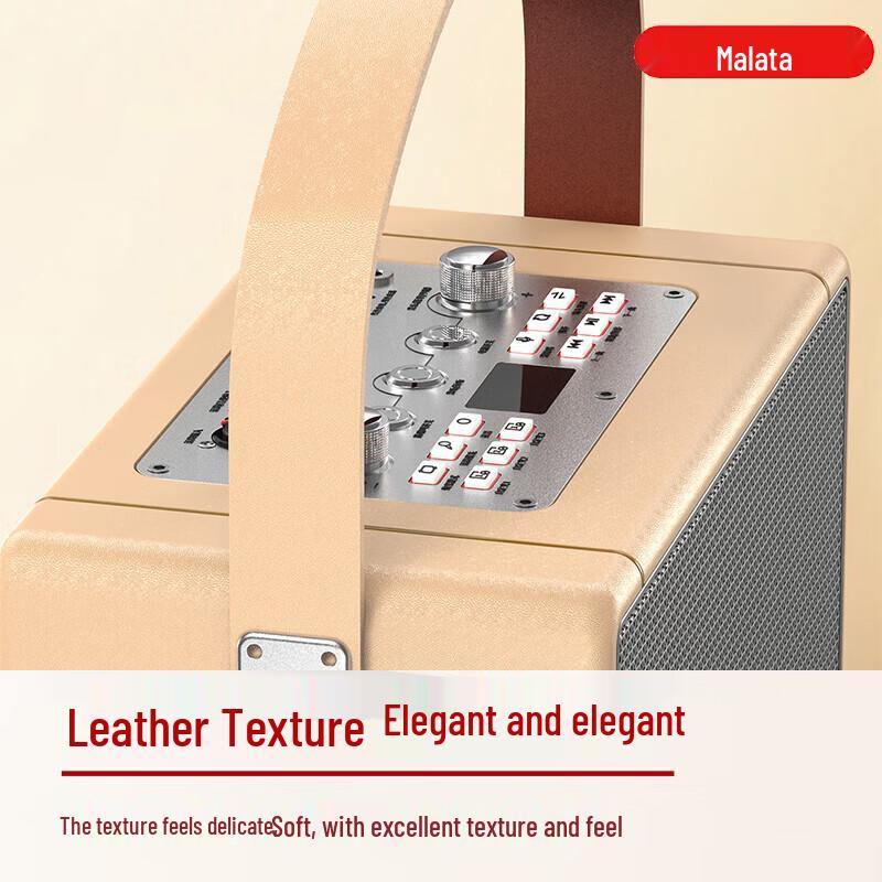 Malata M+9225 Portable Outdoor KTV Bluetooth Speaker CN plug (adapter included)