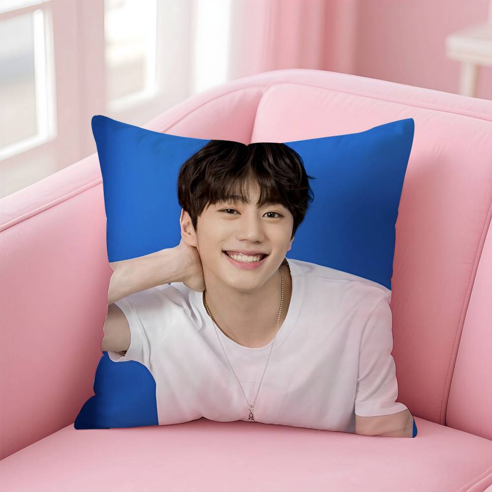 Kpop Style Hot Singer Lee J-Jun Young Pillow Case Anti-Dustmite Pillowcase Invisible Zipper Silky Short Plush Sofa Cushion Cover