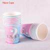 Baby Gender Reveal Party Decoration Boy Or Girl Disposable Tableware Pink Blue