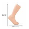 Sock Display Mannequin Sturdy Photography Prop Versatile for Retail Counters