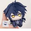10cm Genshin Impact Felins Cotton Doll Game Periphery Pixiv Pendant Collect Toys Gifts