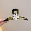 Großer französischer Retro-Klammer-Haarclip für elegante Damenfrisuren.