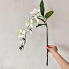 Artificial Jasmine Flower 31" Fake Hanging Flowers Faux Silk Flower Arrangement for Party Home Wedding Decoration