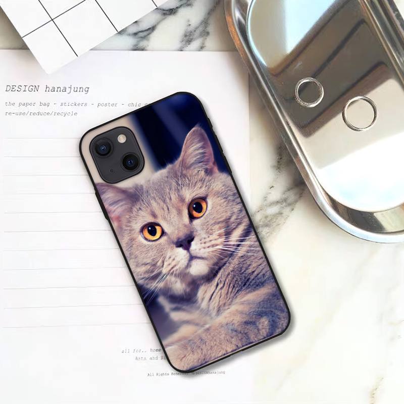 Gilt für die Handyhülle des iPhone 16, neue süße Handyhülle mit blauem Katzenmotiv.