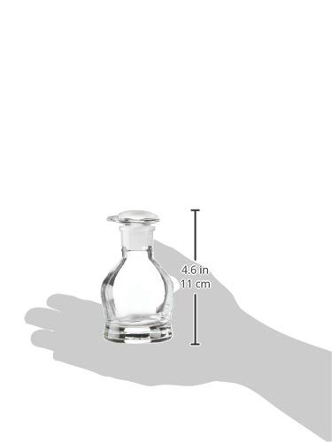 Hirota Glass Original Soy Sauce Dispenser, 100ml, 972-G