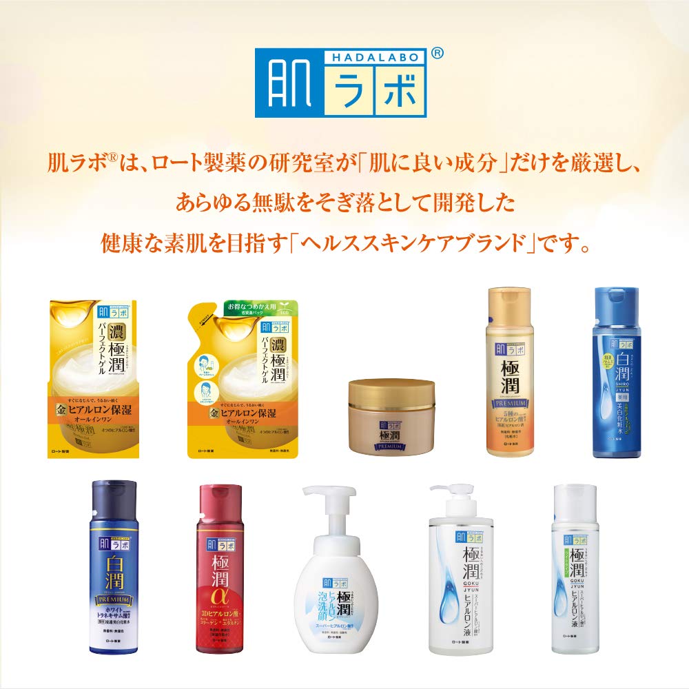 Hada Labo Konkyokujyun Perfect Gel Refill 80g X 2 Set Gokujyun Sachet Included All-in-One +
