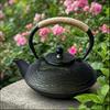 HwaGui Nanbu Ironware Teapot, Stylish IH Compatible, Iron Supplement, Teapot with Tea Whisk, 1000ml (Ocean Waves)
