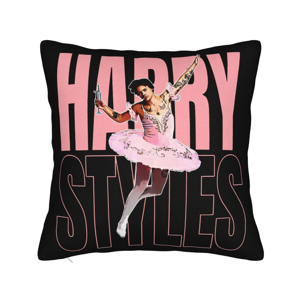 Harrys Styles Kiss All The Time Disco Occasionally Pillowcase Soft Fabric Cushion Cover Decorations Cat Pillow Case Cover Car