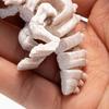 3D Printed Mini Skeleton Dinosaur Model Articulating Dinosaur Figurine Collectible Desktop Decoration for Kids Teens Adults