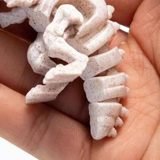 3D Printed Mini Skeleton Dinosaur Model Articulating Dinosaur Figurine Collectible Desktop Decoration for Kids Teens Adults