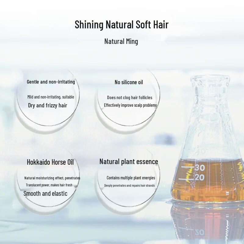 Dieyin Hokkaido Horse Oil Anti-Hair Loss & Oil Control Shampoo