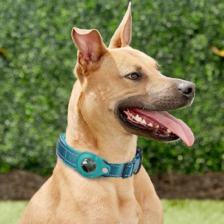 Chic Break Away Cats Collar with Bell for Tracking Adjustable Kitten Safety