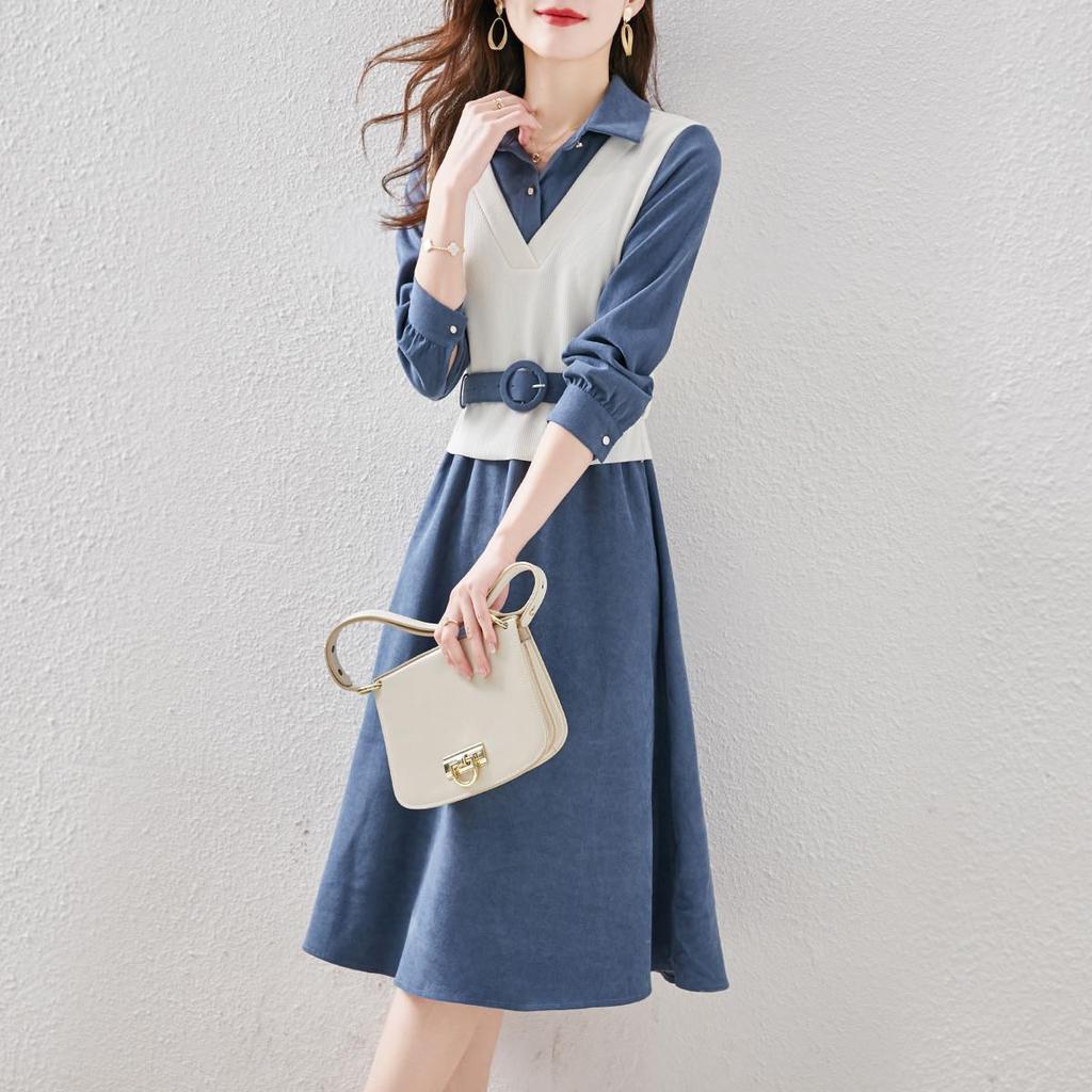 Spring 2024 Trendy Women's A-Line Dress: Long-Sleeved, Waist-Slimming with Large Swing Skirt