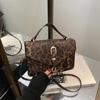 Small square bag leopard print bag fashionable small bag foreign style simple 2025 new trend shoulder bag messenger bag casual women