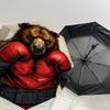Boxing Bear with Boxing Gloves - Automatic Opening Umbrella, Portable Folding Design, 8-Rib Iron Frame Outdoor Umbrella, Ideal Gift for Fans