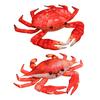 Realistic Crab Plush Pillow Soft Marine Animal Stuffed Toy Cute Ocean Life Decor for Bed Sofa Aquarium-Themed Gift for Kids Collectors