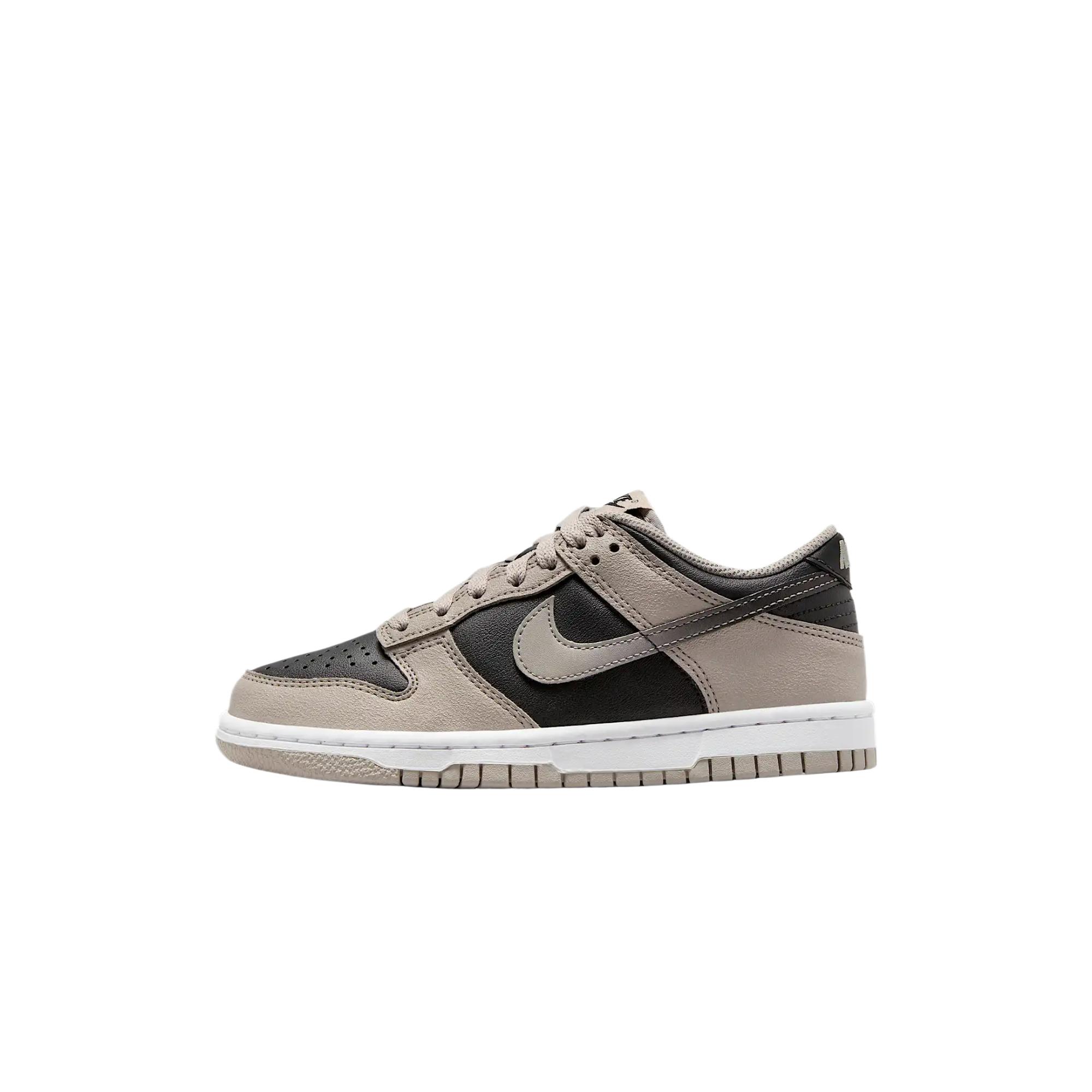 

Nike Dunk Low Kids Lifestyle Shoes Preppy Gray White Black Teenagers HV6363-009 40