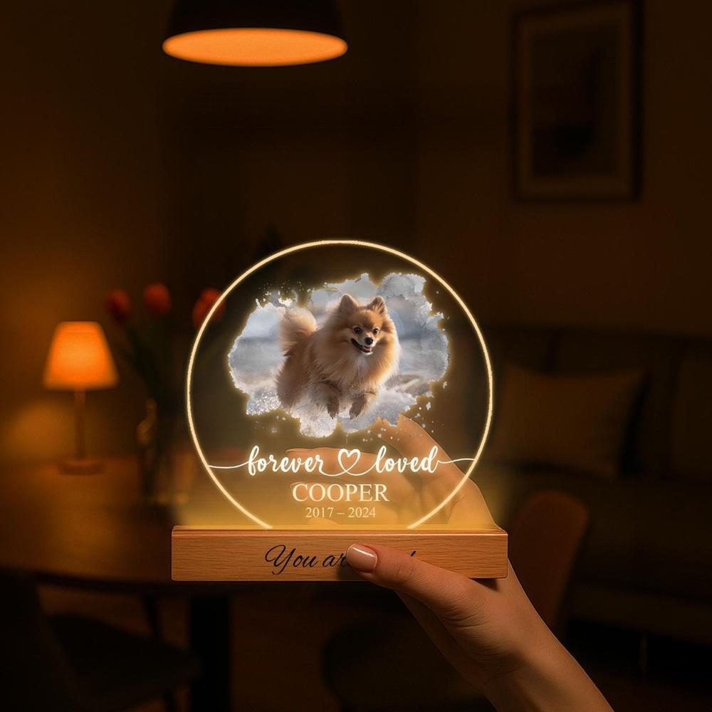 Custom Pet Memorial Decor to Honor Your Furry Friend Forever with Personalized Touch Dog Acrylic Photo Frame Pet Picture Plaque