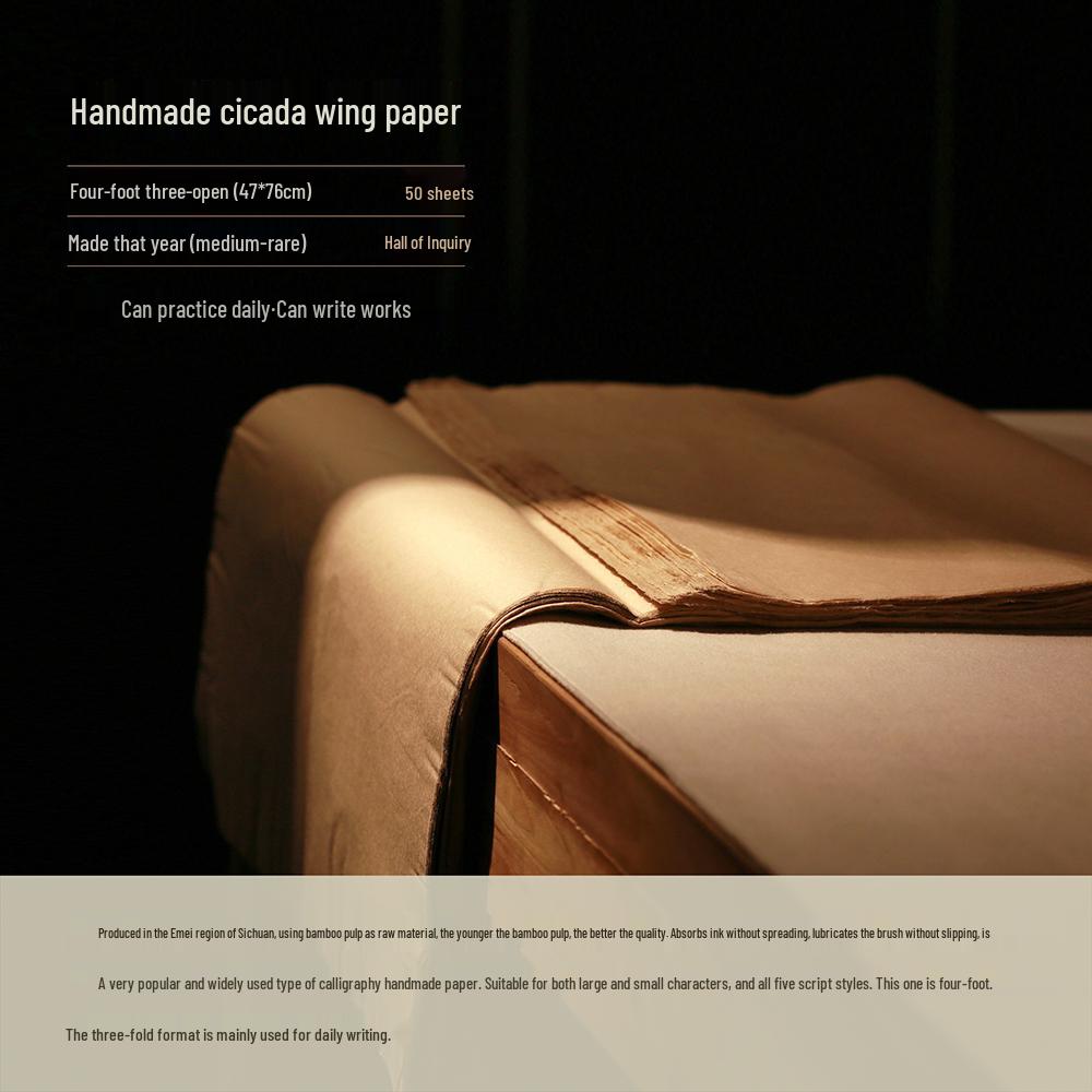 

Cicada Wing Xuan Deckle Edge Calligraphy Practice Paper - Handmade, Semi-Sized Bamboo Sheets
