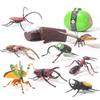 Children's Cross-Border Animal Beetle Model - Realistic Solid Plastic Insect Toy